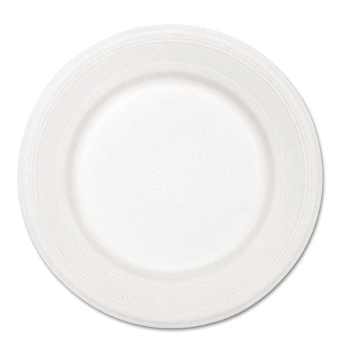 Paper Dinnerware, Plate, 10 1-2" Dia, White, 500-carton